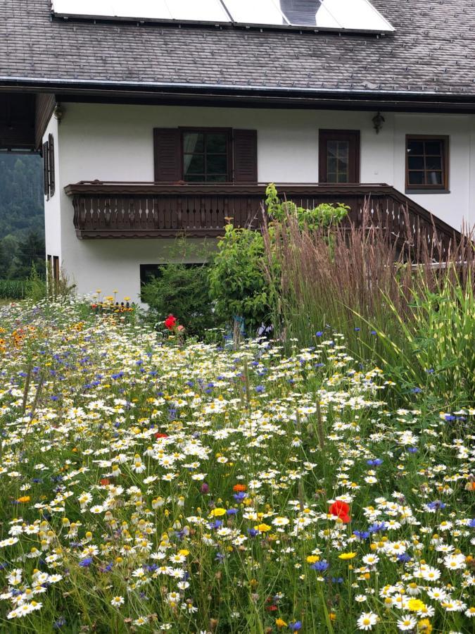 Ferienwohnung Lassendorf Хермагор Екстериор снимка